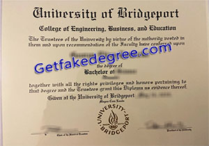 University of Bridgeport degree