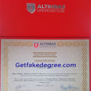 Altinbas University degree