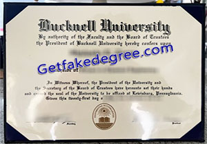 Bucknell University degree