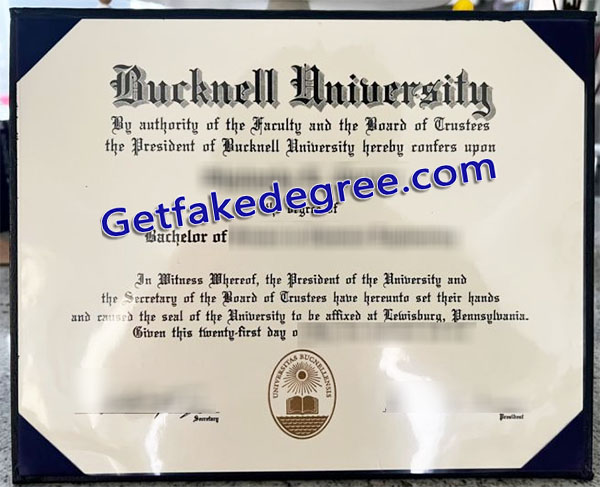 Bucknell University diploma